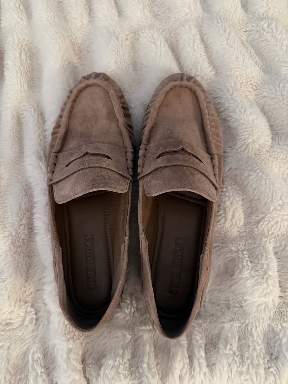 Steve Madden Suede Penny Loafers in Taupe